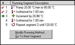 Running Segment Pane